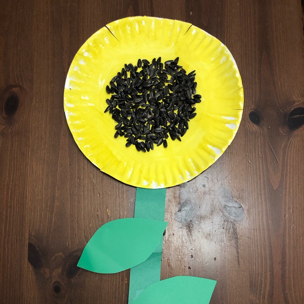 Meet your Posher, Suzanne